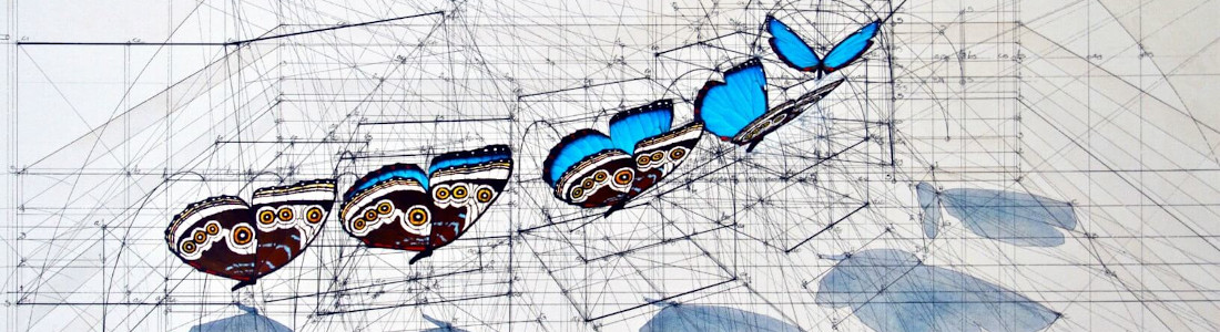 Butterfly golden ratio