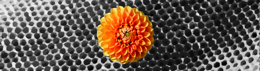 Dahlia honeycomb