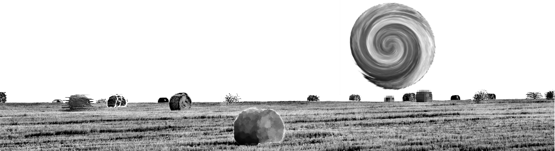 Field hay bales