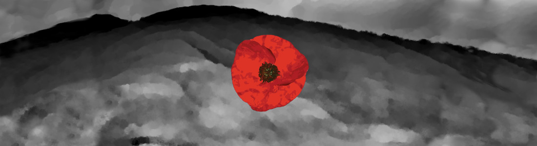 Poppy remembrance