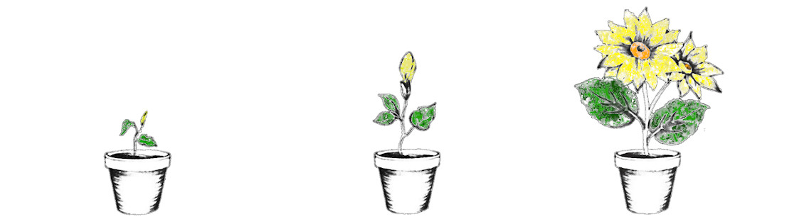 Potted plant progression