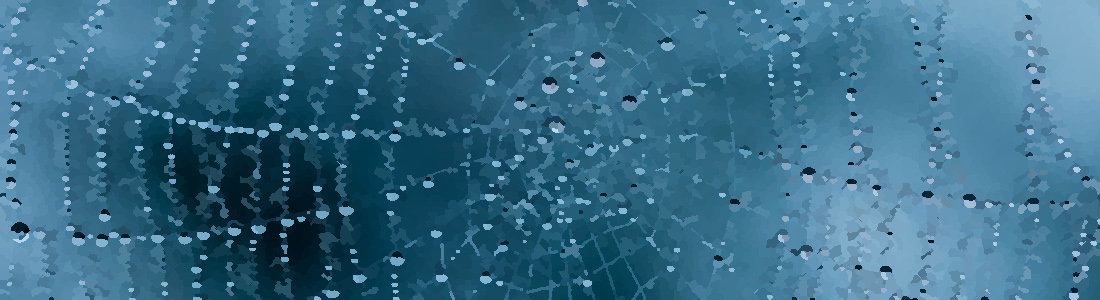 Spiderweb droplets